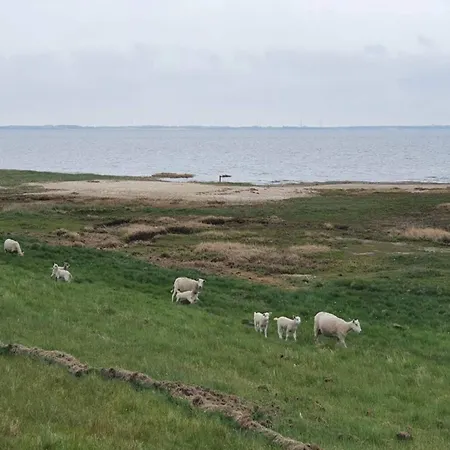 Apartmán 6 Person In Romo-by Traum