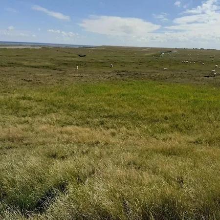 Apartmán 6 Person In Romo-by Traum Sønderby