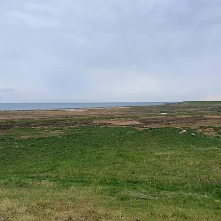 6 Person In Romo-by Traum *