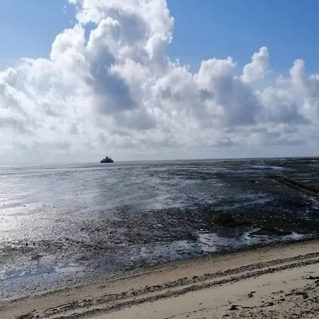 6 Person In Romo-by Traum