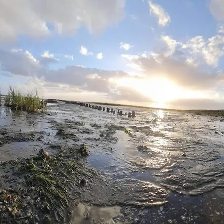 6 Person In Romo-by Traum