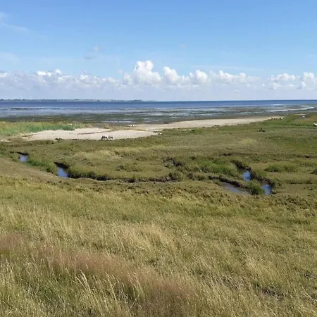 Apartmán 6 Person In Romo-by Traum *