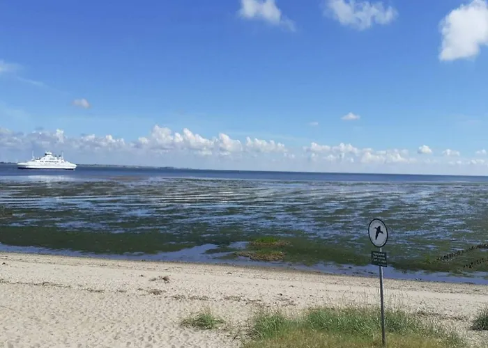 6 Person In Romo-by Traum *