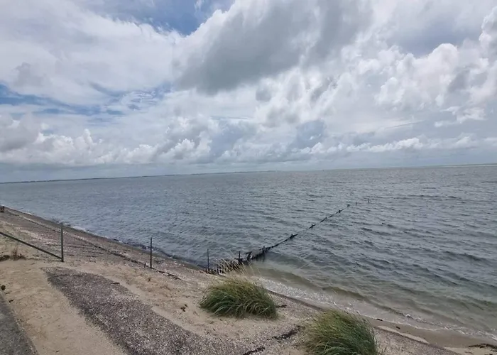 6 Person In Romo-by Traum *