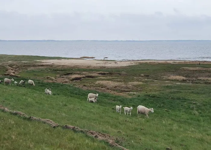 Appartement 6 Person In Romo-by Traum