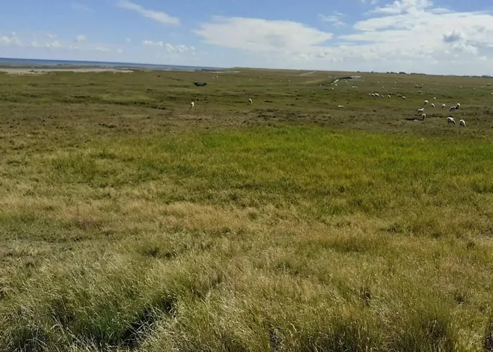 Appartement 6 Person In Romo-by Traum Sønderby