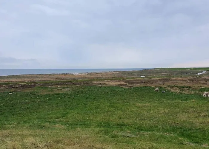 6 Person In Romo-by Traum *