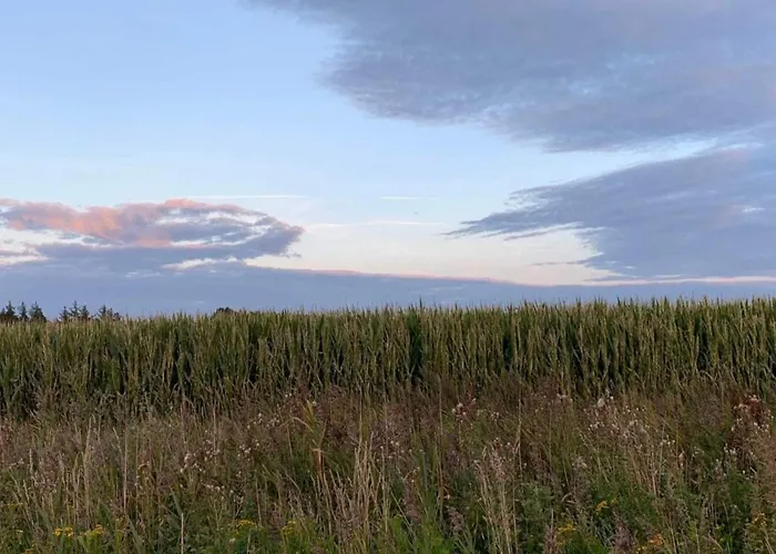 6 Person In Romo-by Traum * Sønderby