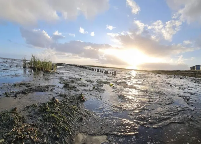 6 Person In Romo-by Traum