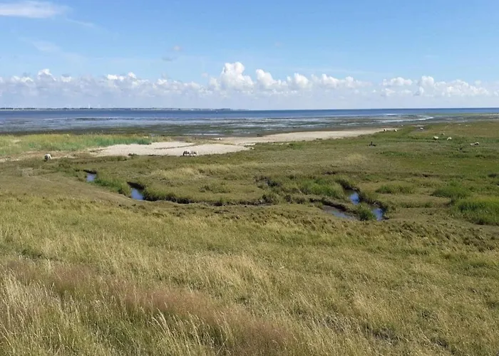 Appartement 6 Person In Romo-by Traum *