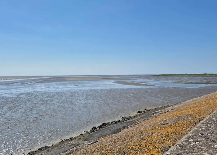 6 Person In Romo-by Traum